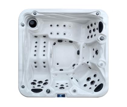 спа-бассейн SpaR S-520 (рис.2)